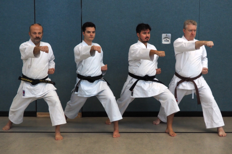 Karate Kihon