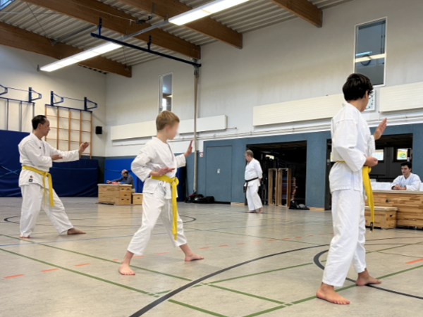 Gürtelgrade und Farben