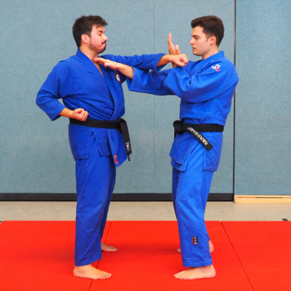 Selbstverteidigung Schnelle-Hände-Technik