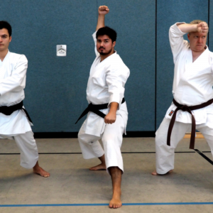 Karate Do #4