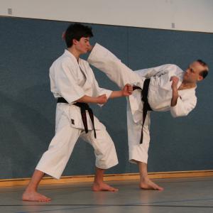 Karate Do #8