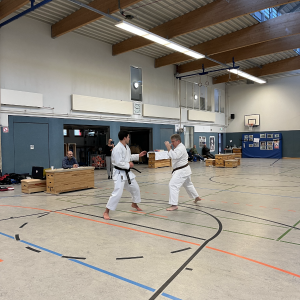 Kumite-Prüfung 3. Dan #1