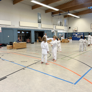 Prüfung - Kumite #1