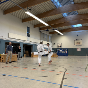Kumite-Prüfung 3. Dan #3