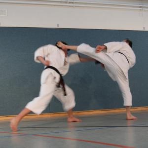 Karate Do #6