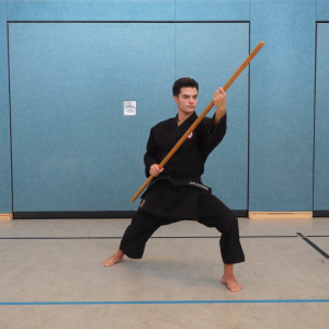 Waffenkunst Bo Kata