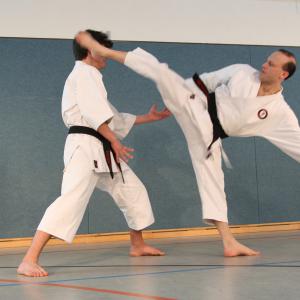 Karate Do #7