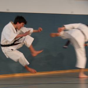 Karate Do #9