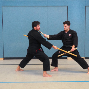 Waffenkunst - Bo gegen Nitanbo