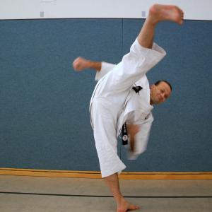 Mawashi Geri