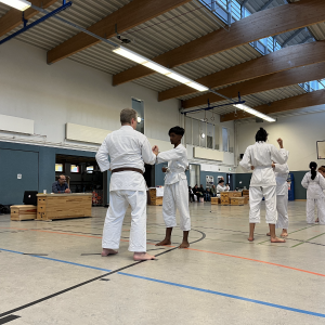 Prüfung - Kumite #2