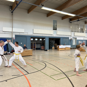 Prüfung - Kumite #3